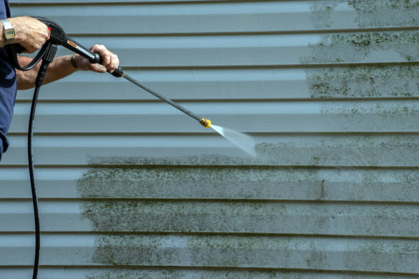 Best Graffiti Removal Services in Newport News, VA